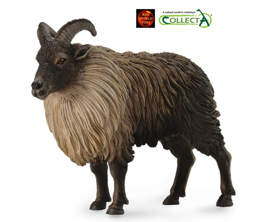 Himalayan tahr wild goat - himalayan,